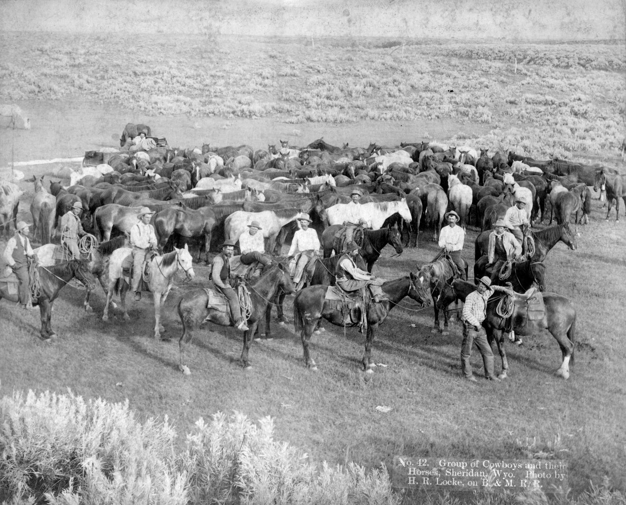 Bir grup kovboy ve atları, Sheridan, Wyoming, c.1890 by H. R. Locke