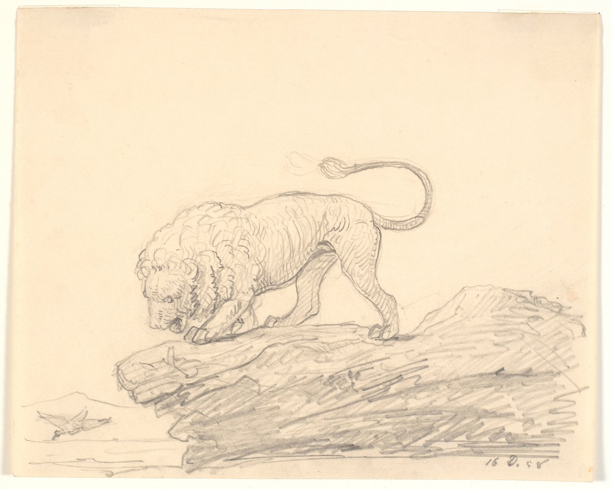 Bir uçurumun üzerinde bir aslan. Geçen bir kuş arıyor by H.W. Bissen