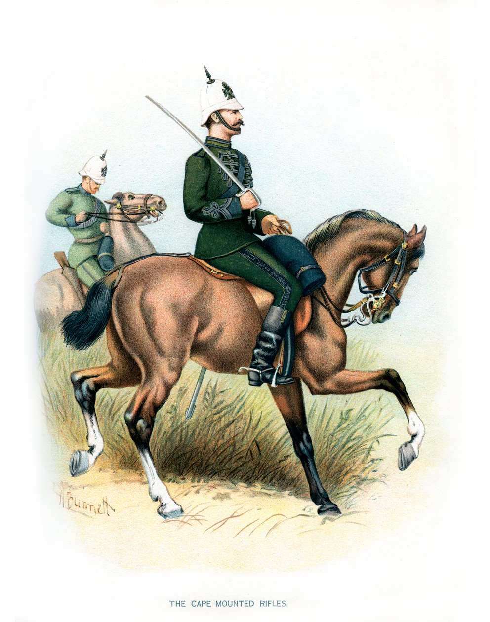 Cape Monteli Tüfekler, c1890. by H. Bunnett