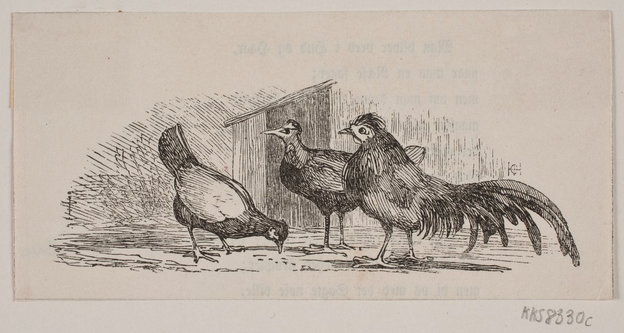 üç tavuk by H. C. Henneberg