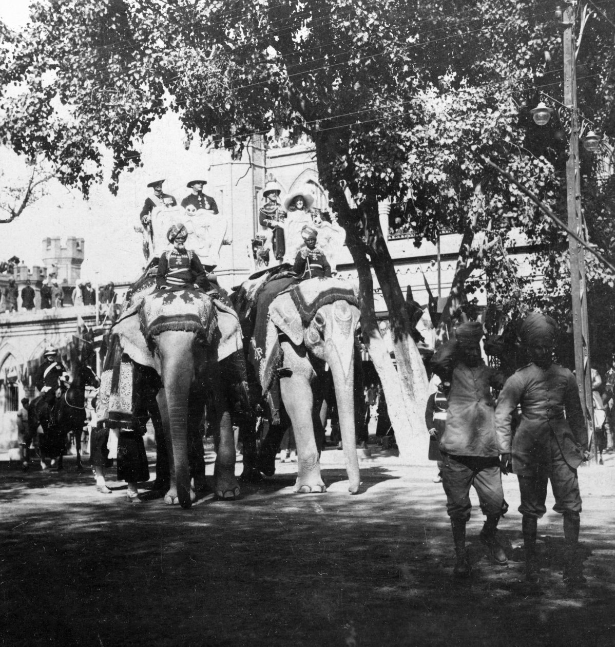 Viceregal personeli ve kızının fil alayına katılması, Delhi, Hindistan, 1900