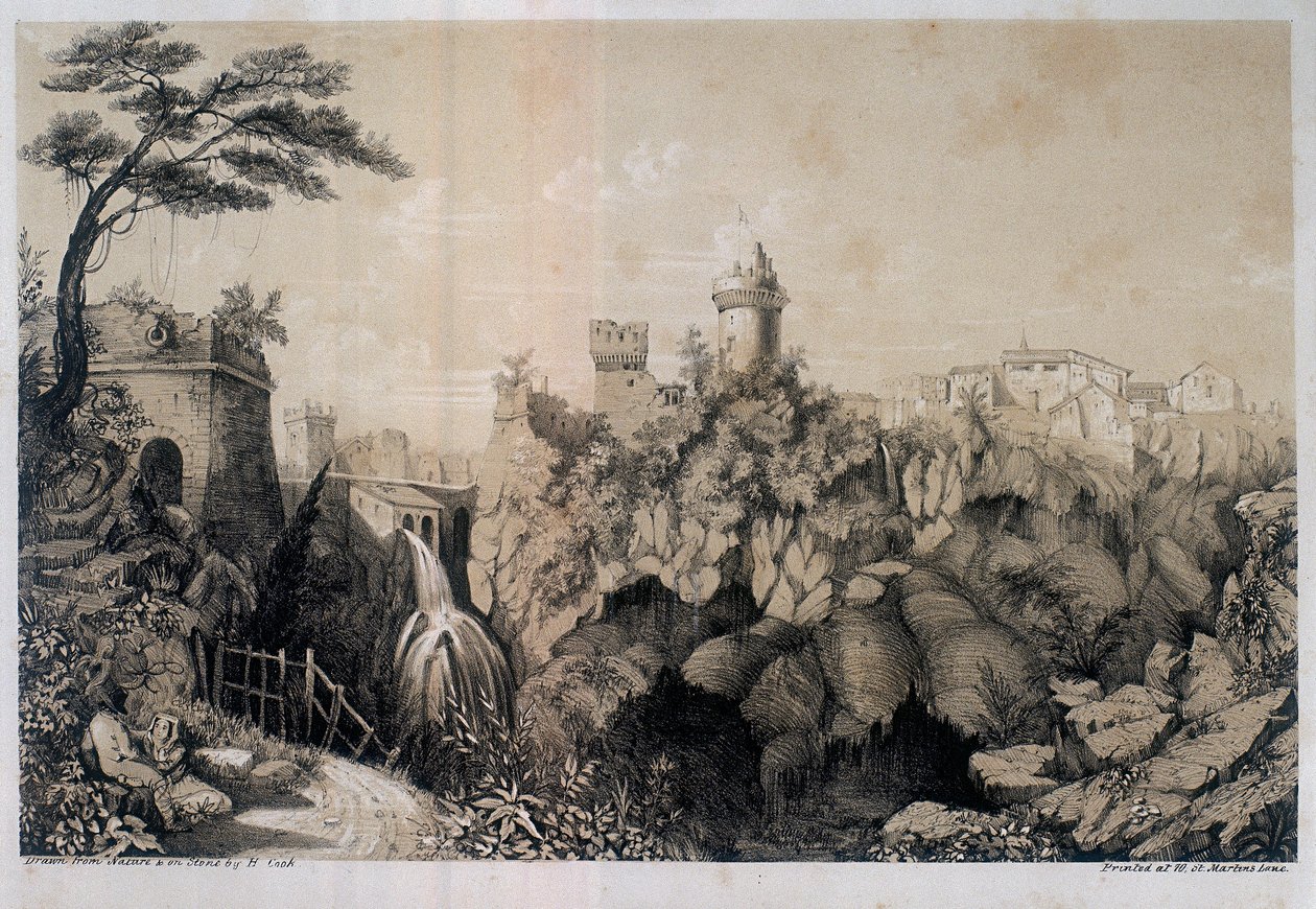 Oymak by H. R. Cook