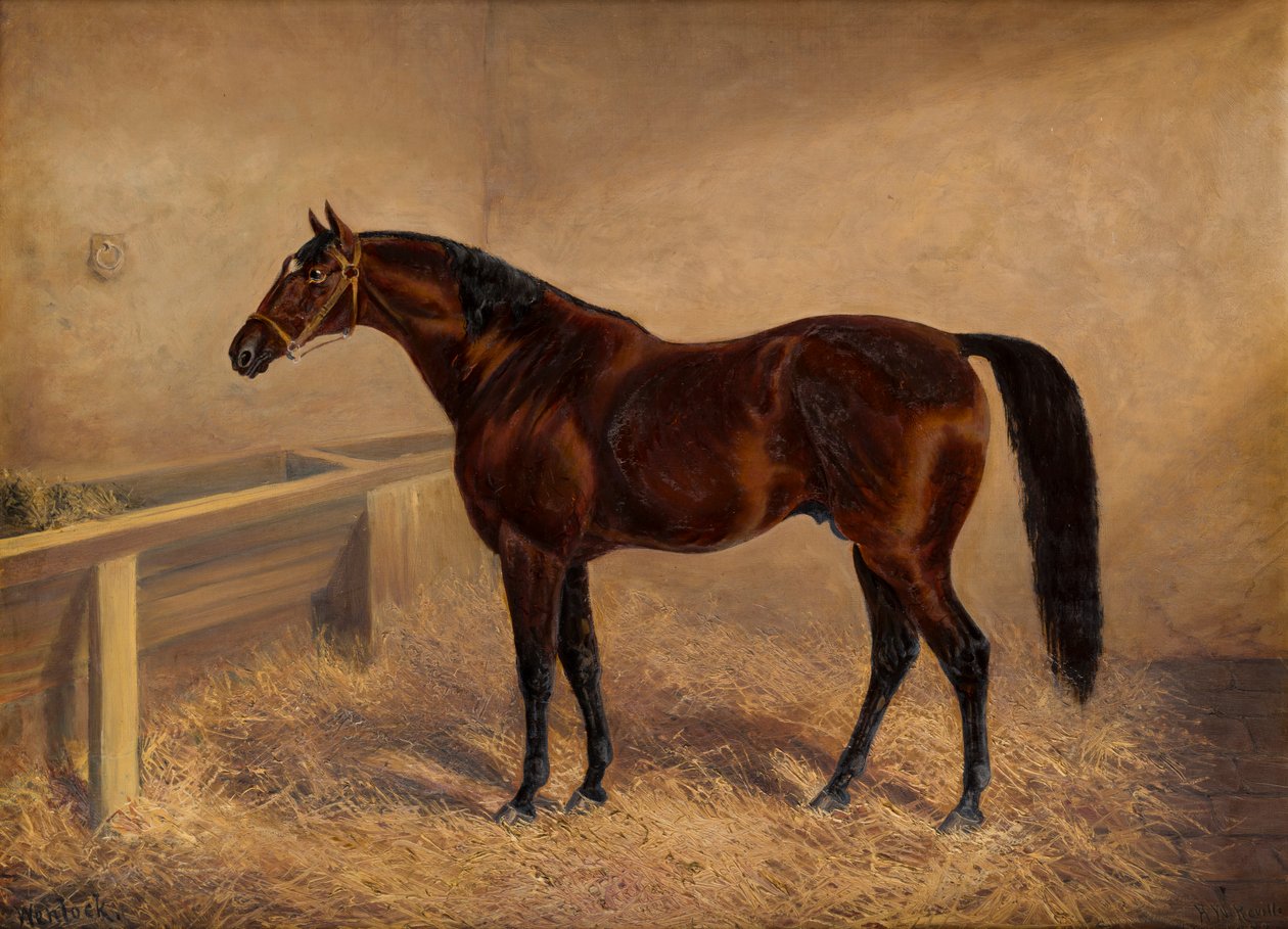 Wenlock : Bir Körfez Yarış Atı, gevşek bir kutuda, 1881-1903 dolayları (tuval üzerine yağlı boya) by H. Whittaker Reville