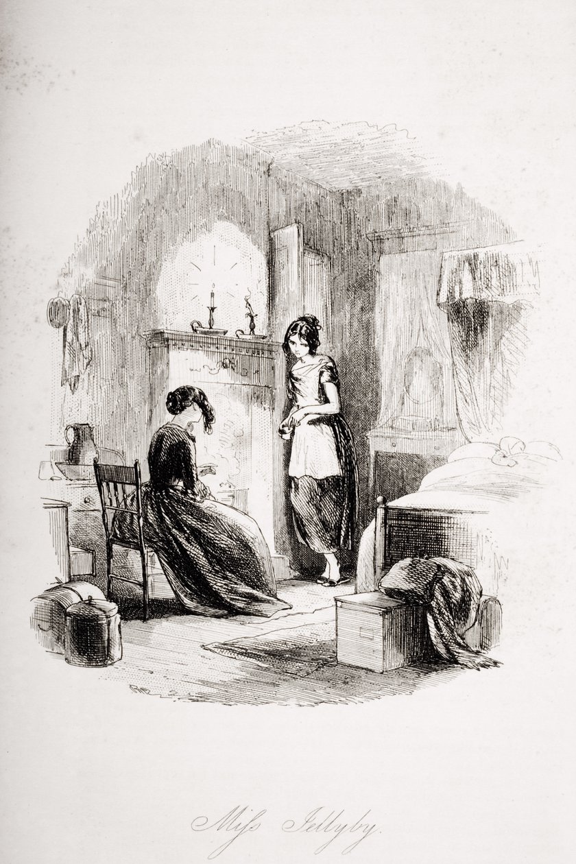 Bayan Jellyby, Charles Dickens