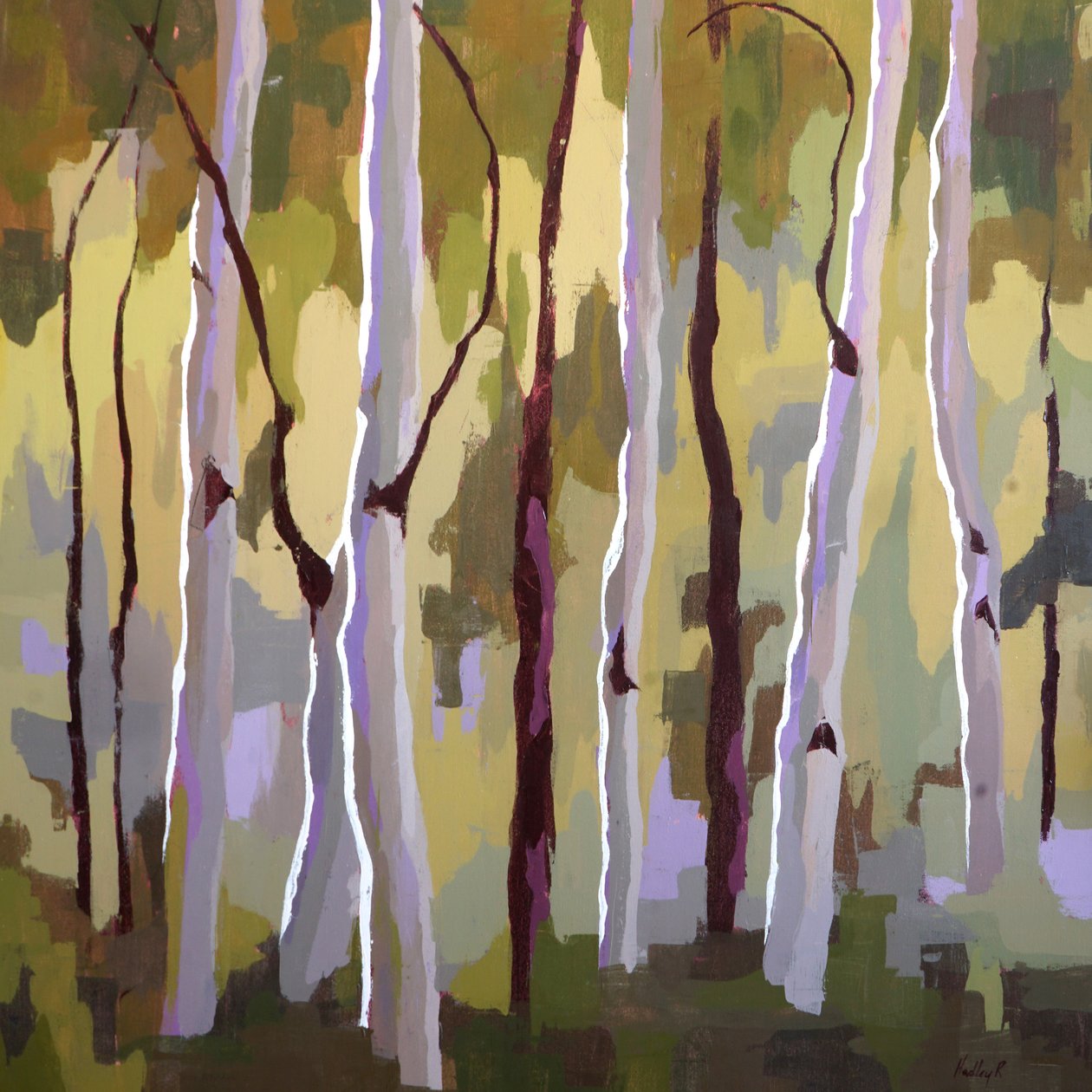  by Hadley Rampton
