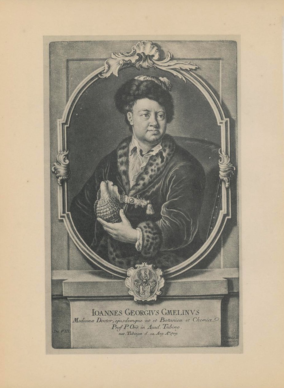 Doğa bilimci, botanikçi ve coğrafyacı Johann Georg Gmelin