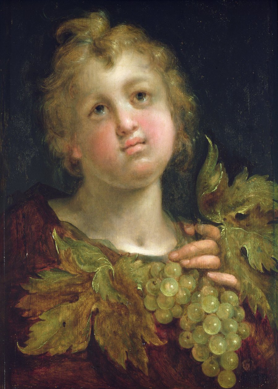 Bir salkım üzümlü çocuk, 1600-5 by Hans von Aachen