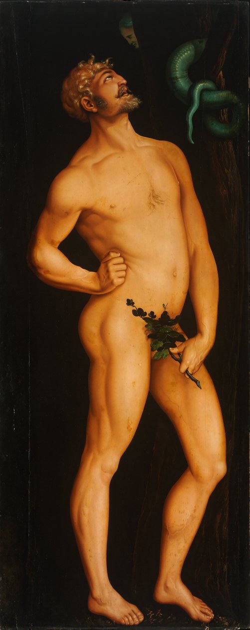 Adem by Hans Baldung Grien