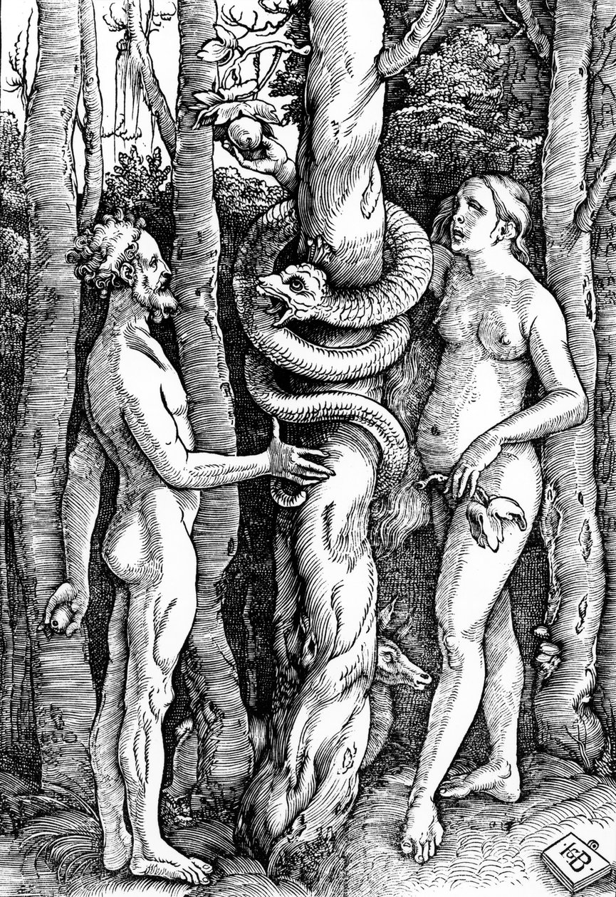 İnsanın Düşüşü, c.1514 by Hans Baldung Grien