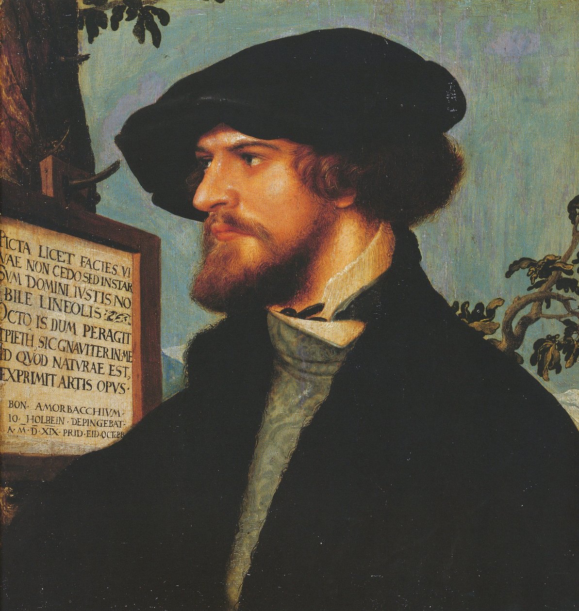 Bonifacius Amerbach