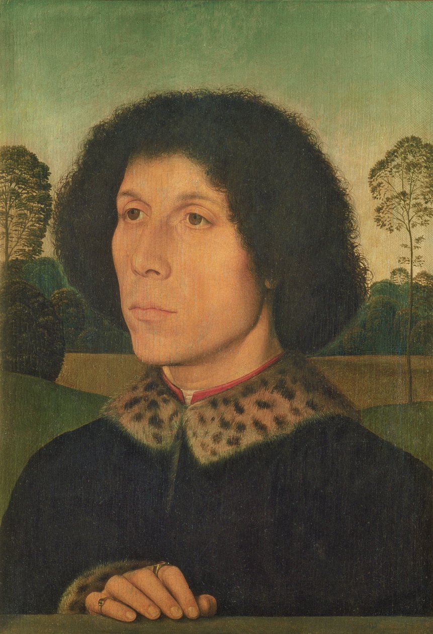 Manzaraya karşı bir adamın portresi, c.1470 (panel) by Hans Memling