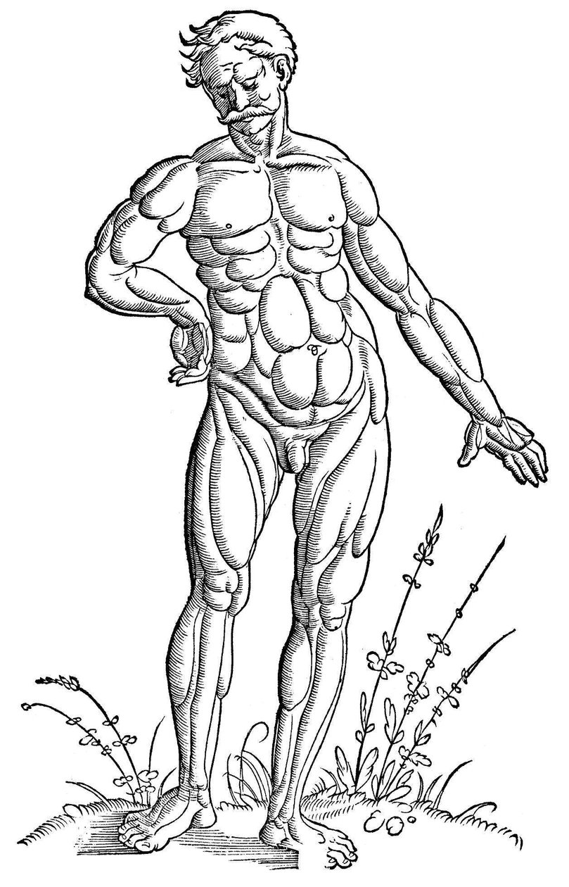  by Hans Baldung Grien