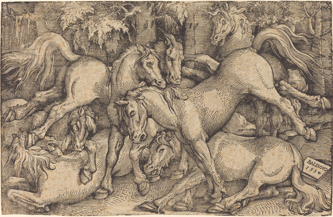 Ormanda Yedi At Grubu by Hans Baldung Grien