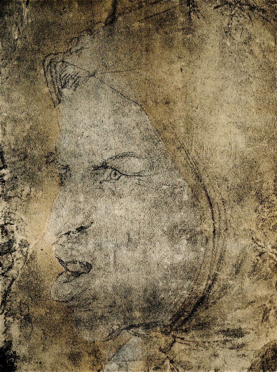 Bir aptalın başı by Hans Baldung Grien