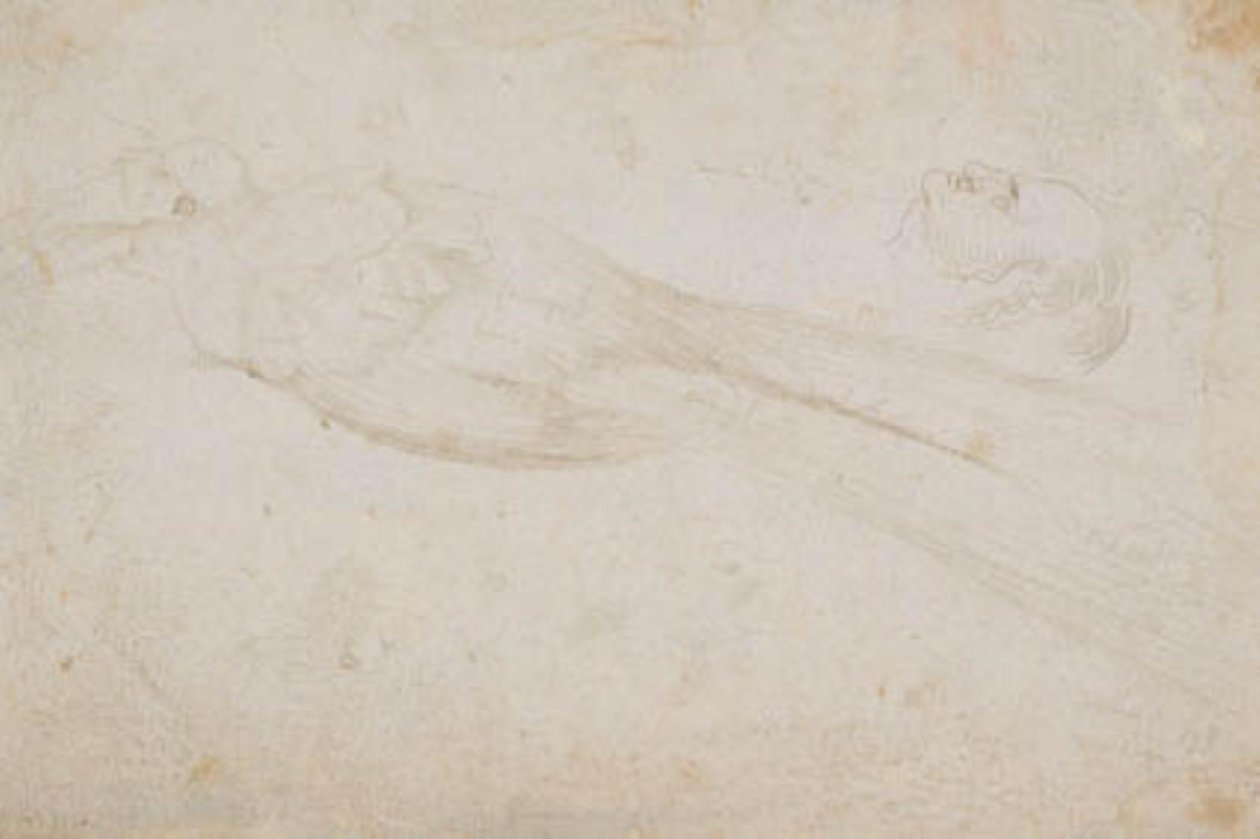 Soldaki profilde erkek cennet kuşu ve orta yaşlı bir adamın başı; ayrıca detayları by Hans Baldung Grien
