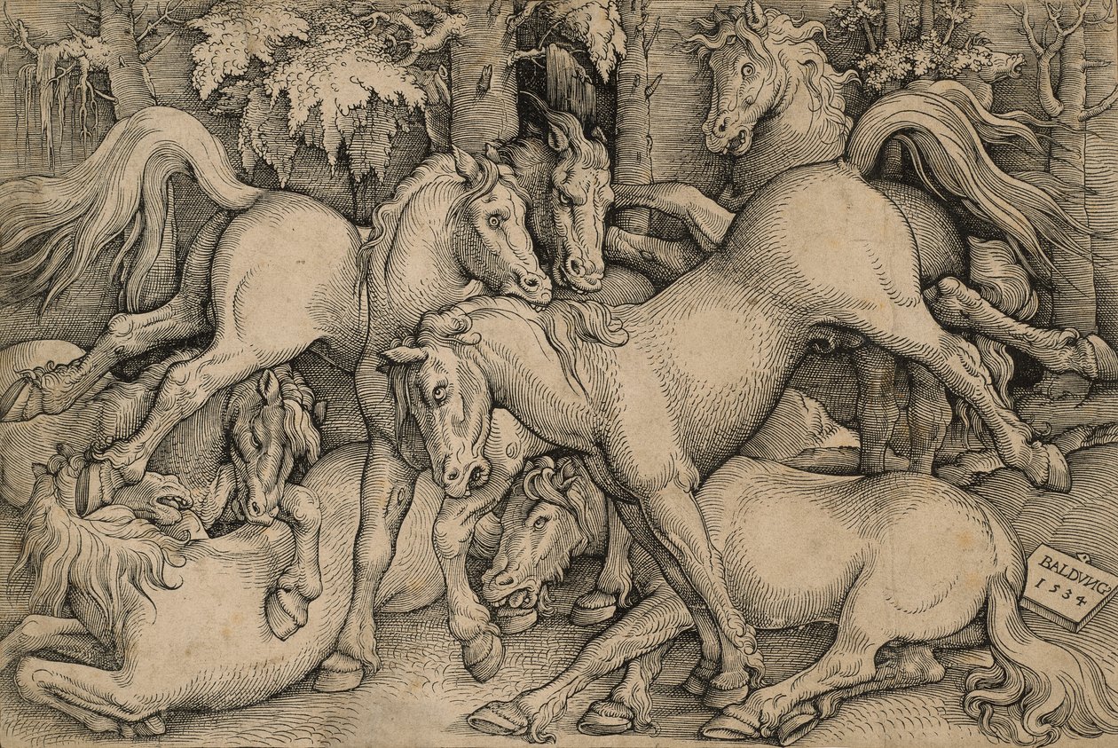 Vahşi Atlar Dövüşü by Hans Baldung Grien