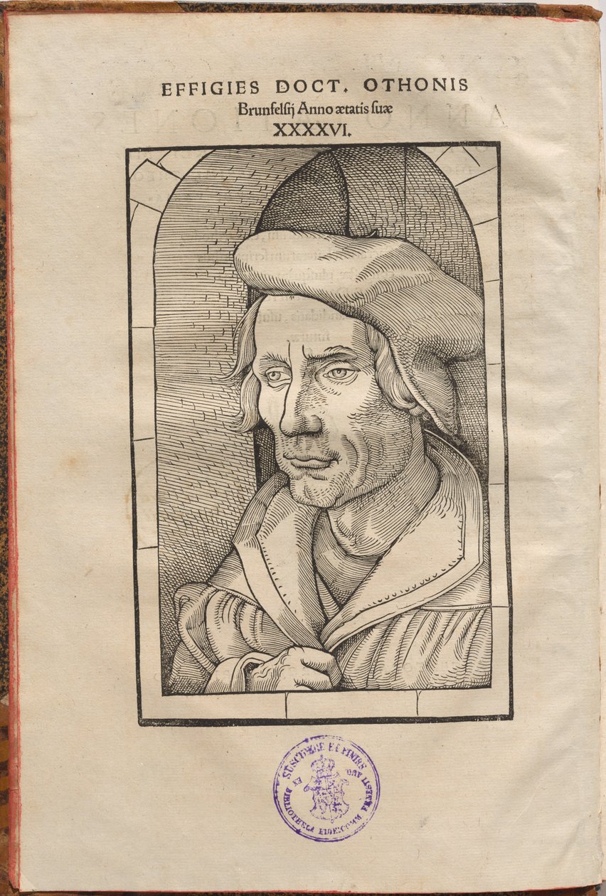 Ek Açıklamalar Othonis Brunfelsii...quatuor Evangelia & Acta Apostolorum