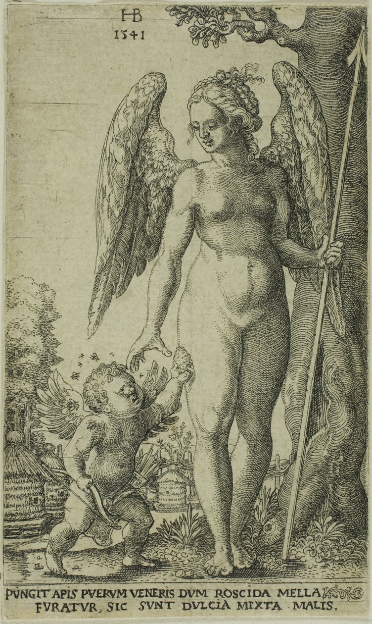 Cupid Venüs