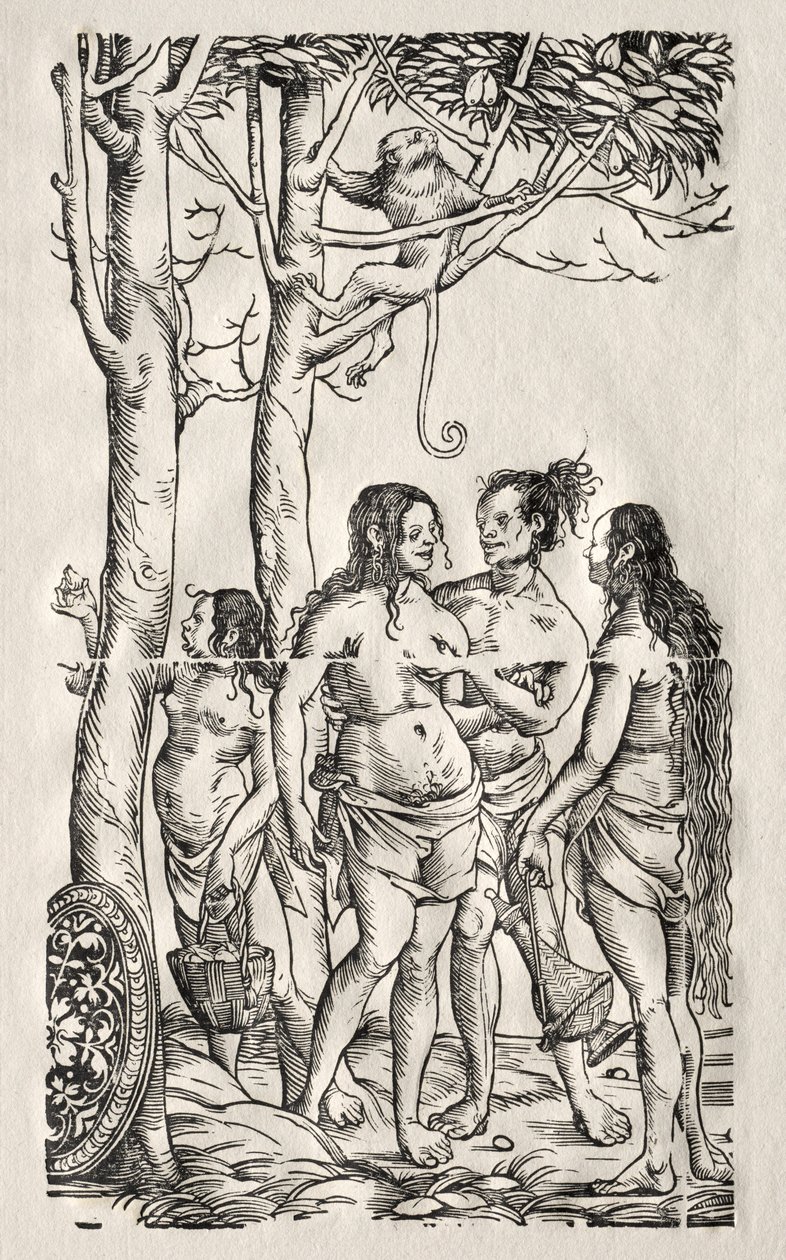 Sürü ile Hottentots. by Hans Burgkmair