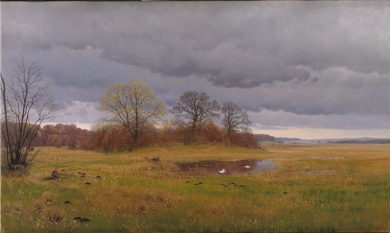 Yağmurlu bahar manzarası. Güney Zelanda by Hans Friis