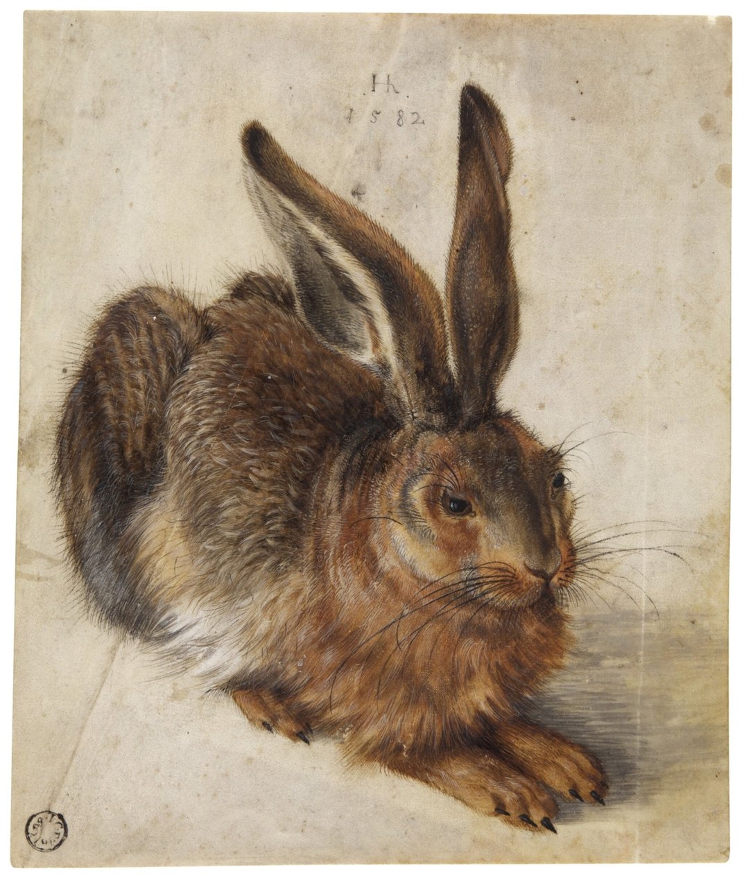  by Hans Hoffmann