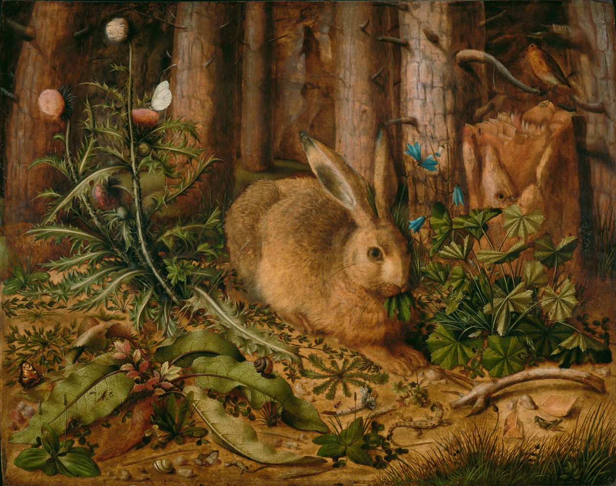  by Hans Hoffmann