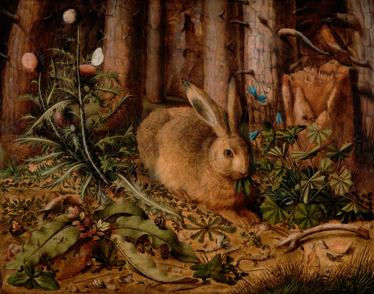 Ormanda Bir Tavşan, c. 1585 (panelde yağ) by Hans Hoffmann
