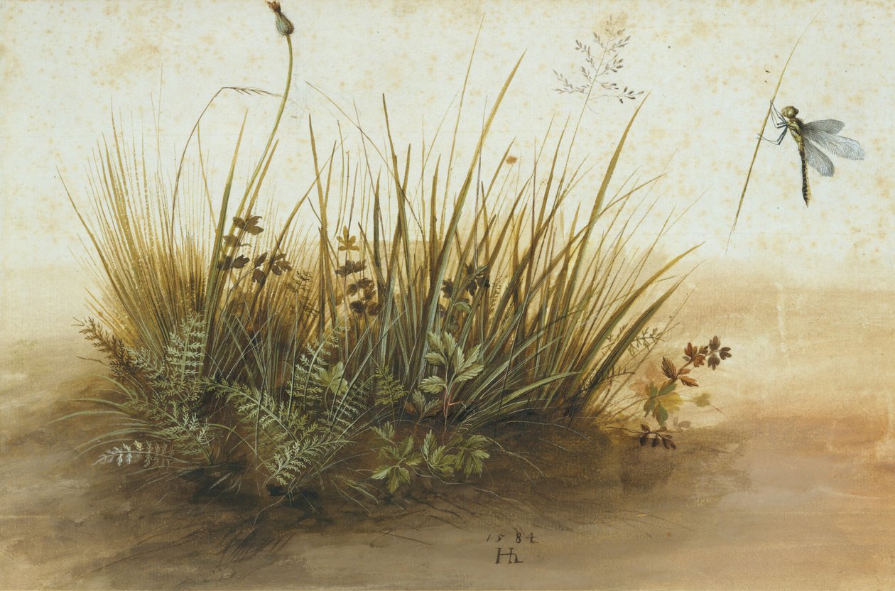 Küçük Bir Çim Parçası, 1584. by Hans Hoffmann