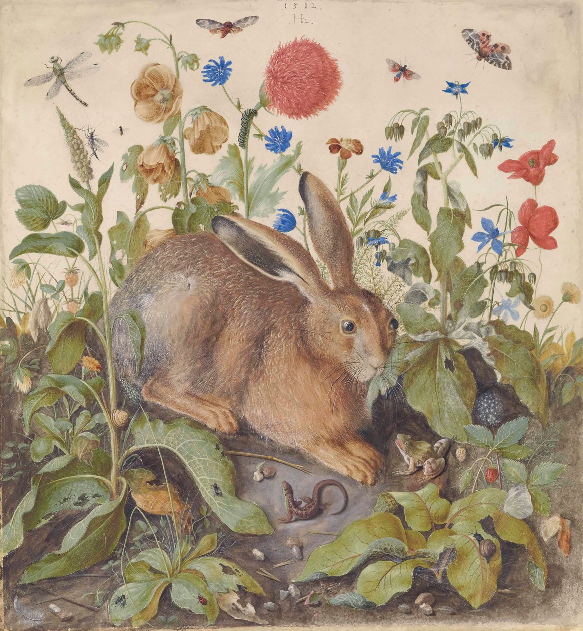  by Hans Hoffmann