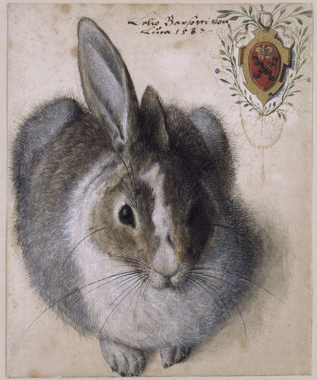  by Hans Hoffmann