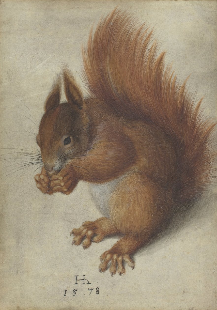  by Hans Hoffmann