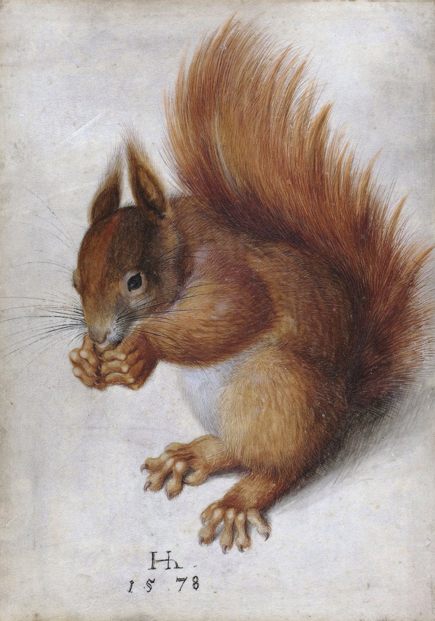  by Hans Hoffmann