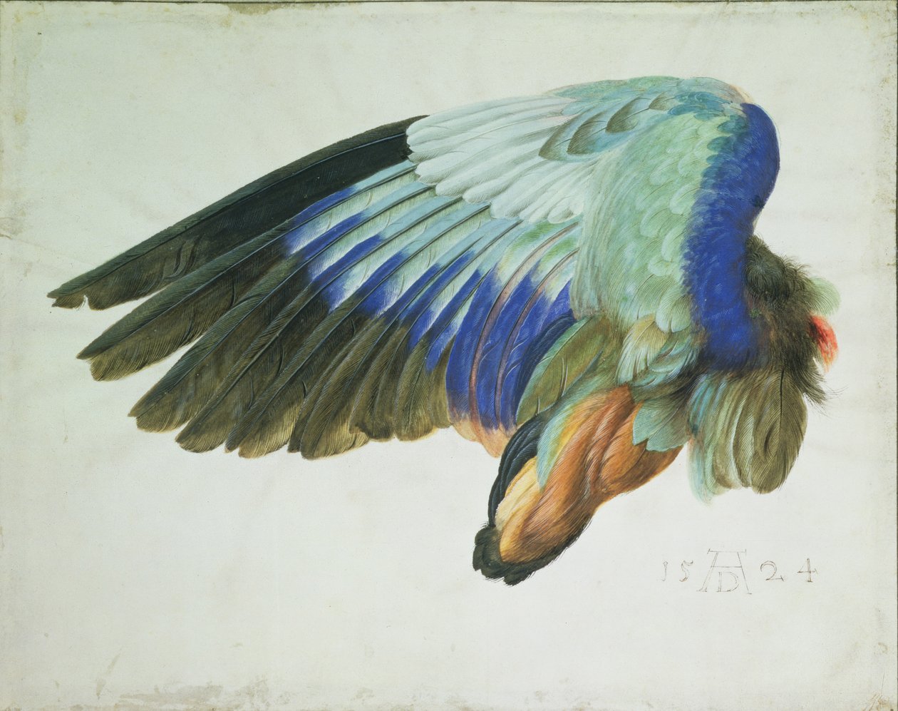 Mavi Silindirin Sağ Kanadı by Hans Hoffmann