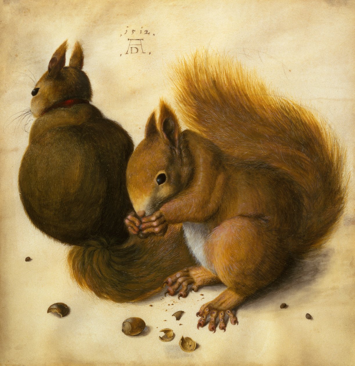 İki Sincap, Bir Fındık Yiyen (siyah tebeşir, suluboya ve parşömen üzerine gövde rengi) by Hans Hoffmann