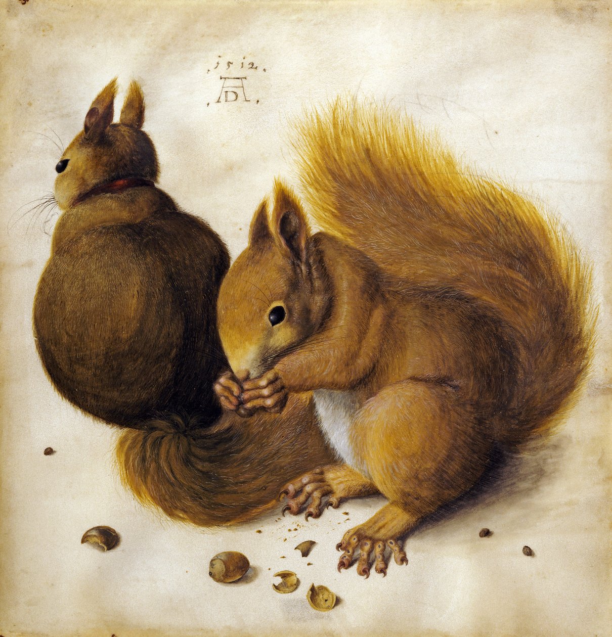 İki sincap. by Hans Hoffmann