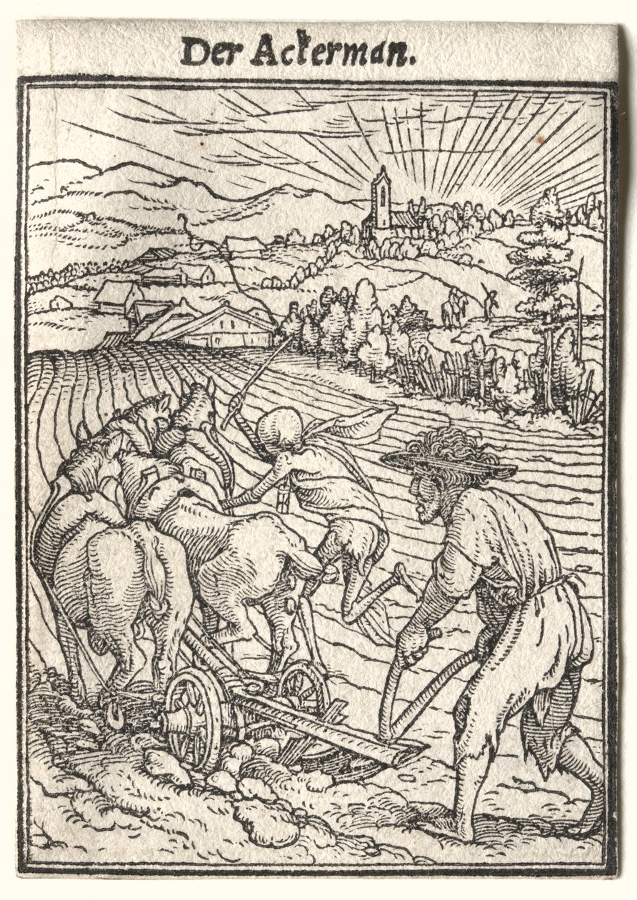 Ölüm Dansı: Pullukçu by Hans Holbein