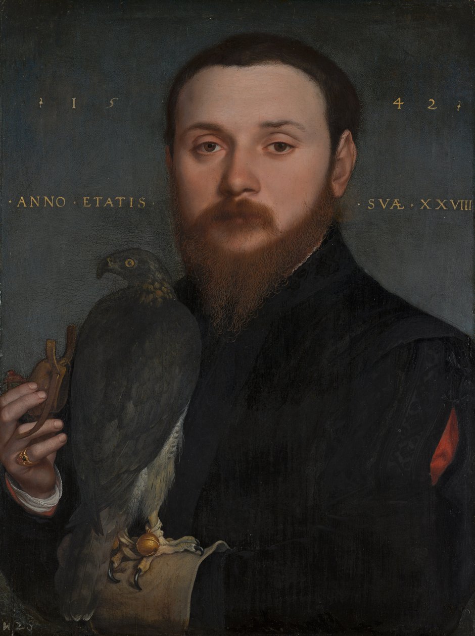 Bir şahin portresi by Hans Holbein