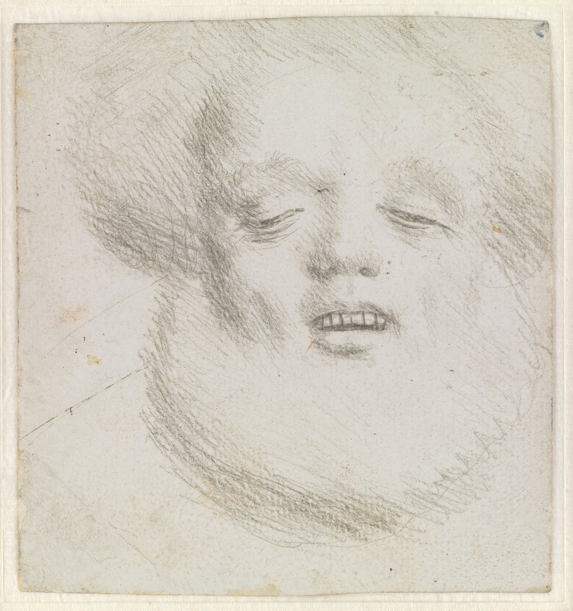 Aşağıdan görülen yüzü sakallı bir adamın başı by Hans Holbein d.Æ.