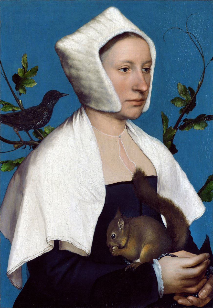 Sincaplı ve Starlingli Kadın, c.1526-28 by Hans Holbein der Jüngere