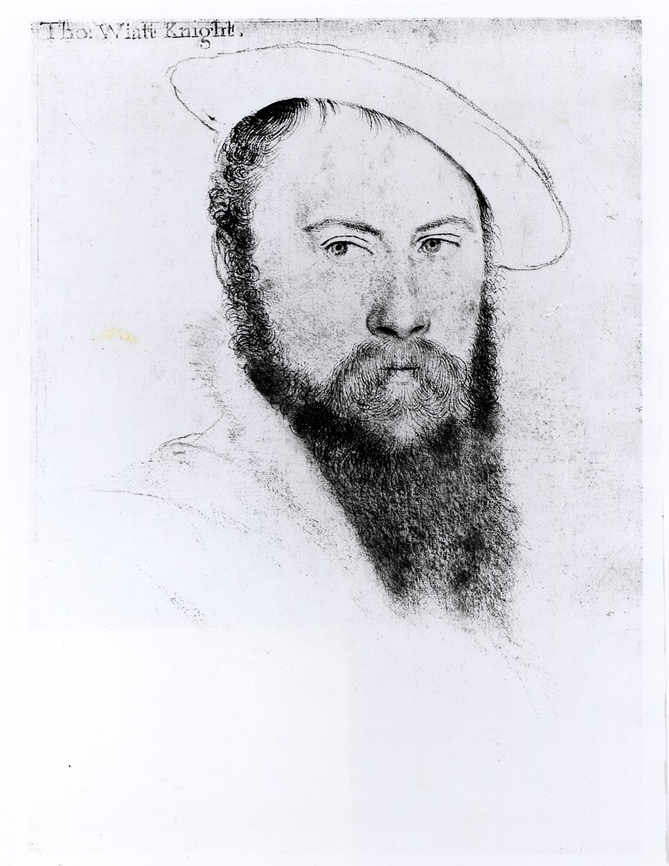 Portrait of Sir Thomas Wyatt the Younger (c.1521-54) (pencil and charcoal on paper)  by Hans Holbein der Jüngere