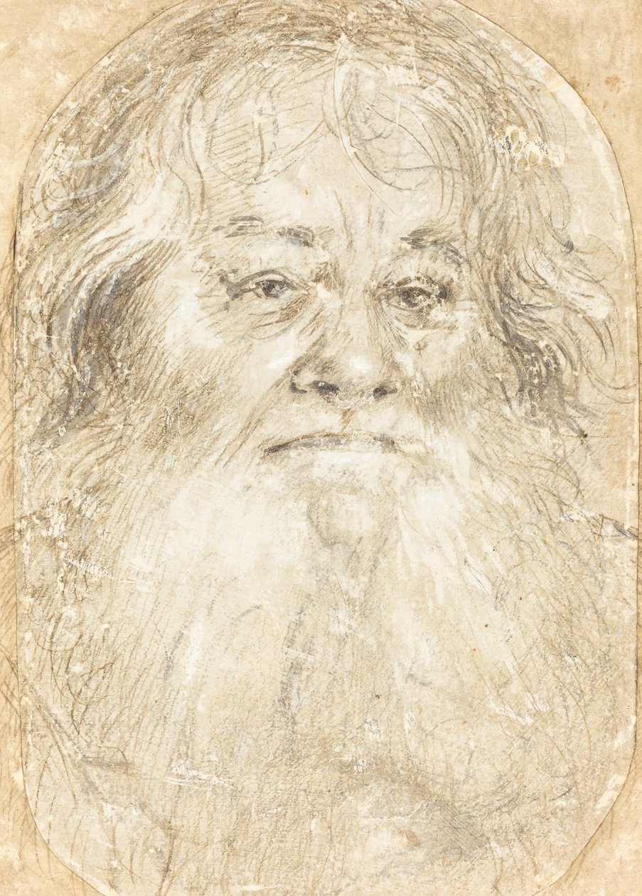 Sakallı Bir Adamın Çalışması [verso] by Hans Holbein the Elder