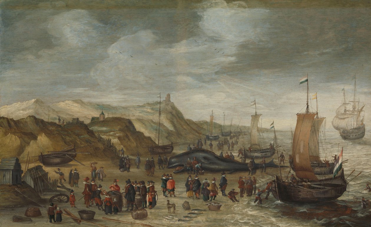 Bir ispermeçet balinası Noordwijk sahiline vurdu, 28 Aralık 1614 by Hans I Savery