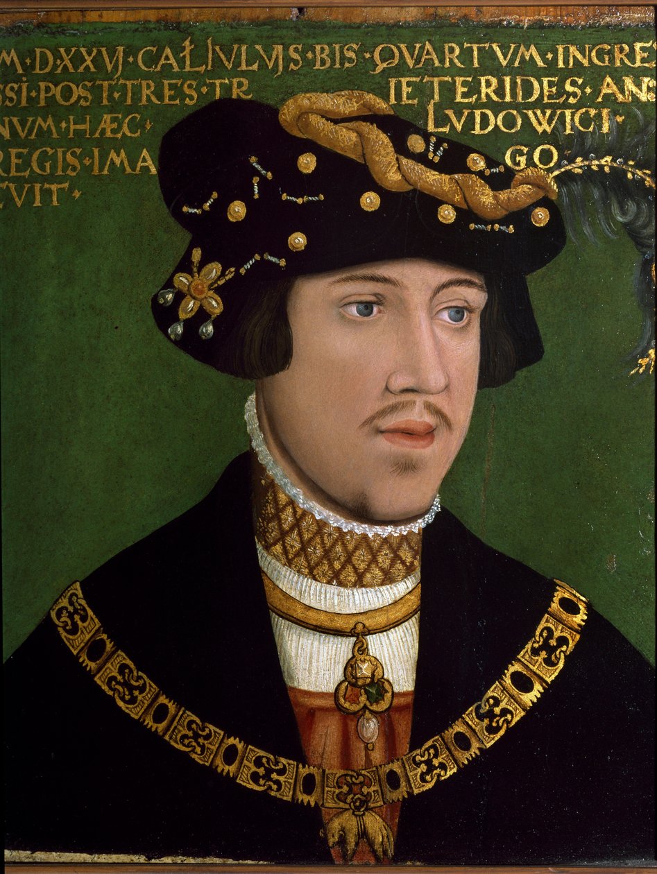 Macaristan Kralı II. Louis'in Portresi (Louis Jagellon) by Hans Krell