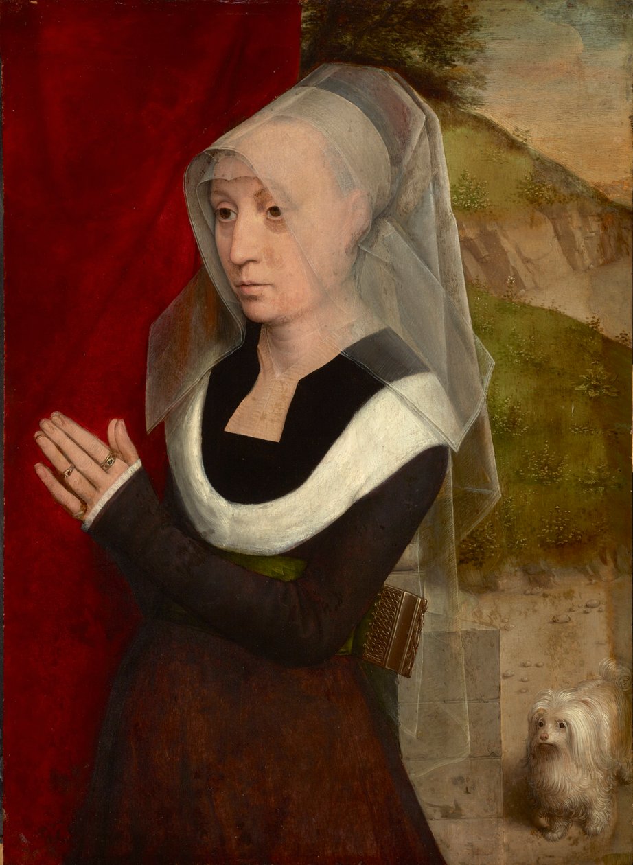Femme en priere avec son chien - Köpeğiyle dua eden kadın, yazan Memling, Hans (1433/40-1494). ahşap üzerine yağ by Hans Memling