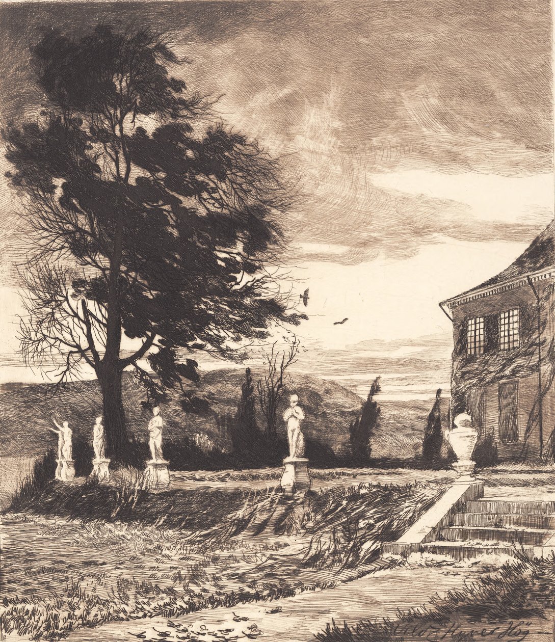 "Vahşi Uçan Şahin" by Hans Nikolaj Hansen