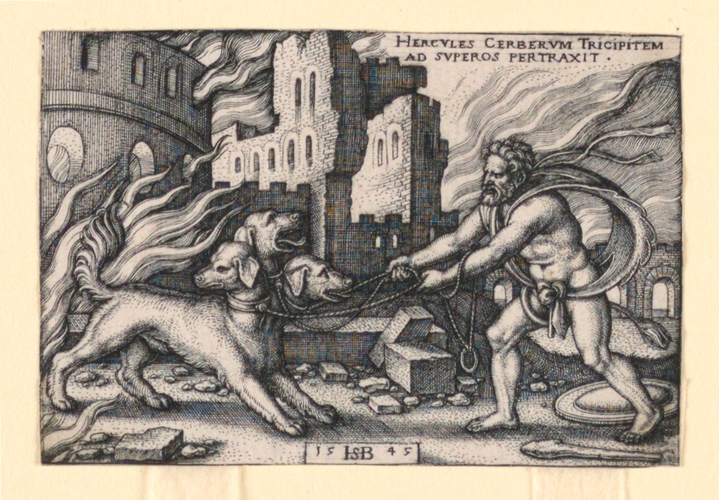 Herkül Cerberus