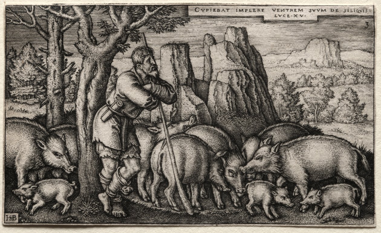 Müsrif Oğul: Domuza Bakmak by Hans Sebald Beham