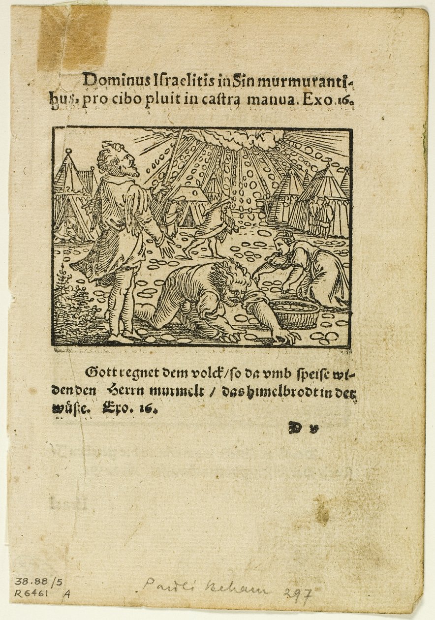  by Hans Sebald Beham