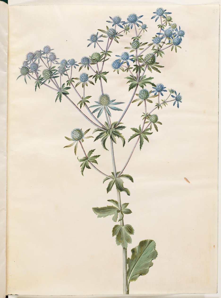 yığın düzlemi (have-mandstro) by Hans Simon Holtzbecker