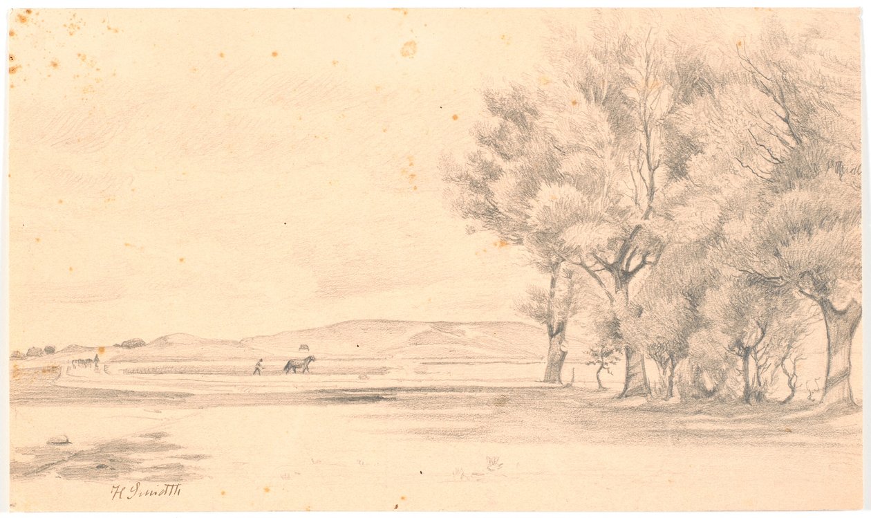Sürülmüş tarlalarla peyzaj; t.h. uzun ağaçlar by Hans Smidth